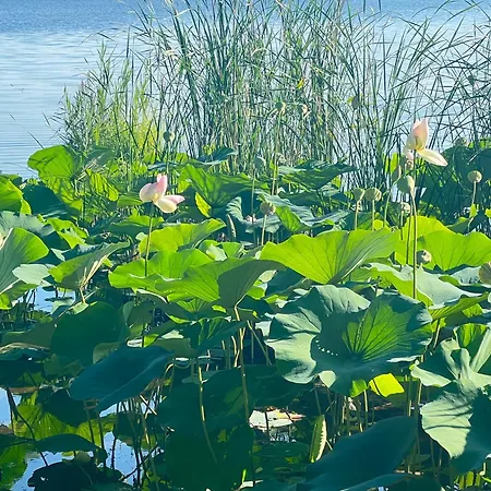 펜션 Casa Del Sole, Di Monate *