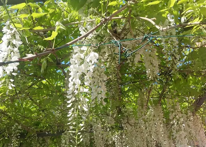 Casa Del Sole, Di Monate *