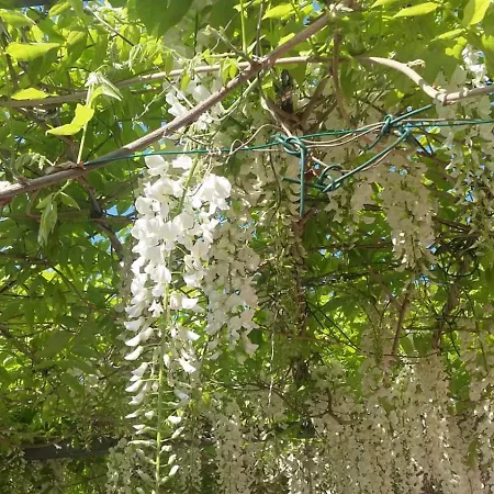 Casa Del Sole, Di Monate *