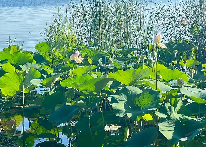Prázdninový dům Casa Del Sole, Di Monate *