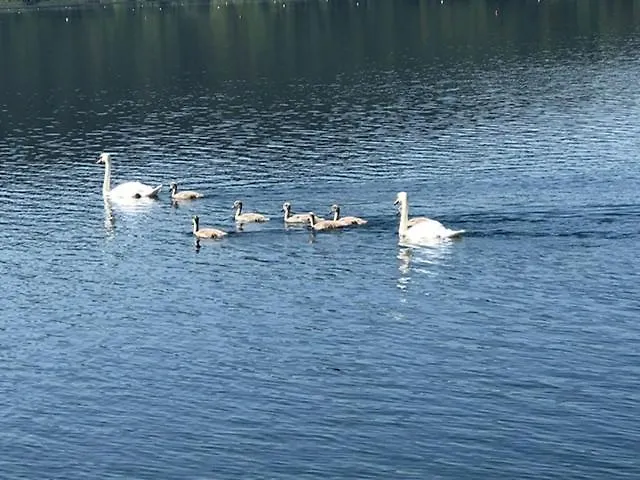 Casa Del Sole, Di Monate Prázdninový dům